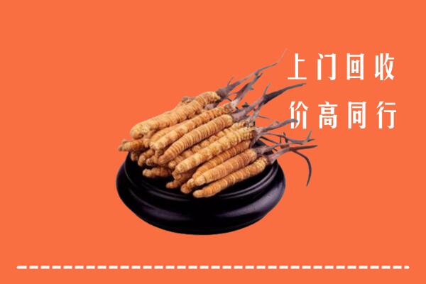 高价求购：舒兰市回收散虫草