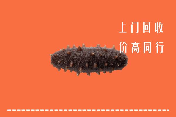 高价求购：舒兰市回收海参
