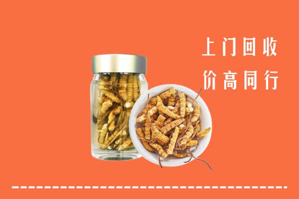 舒兰市回收冬虫夏草